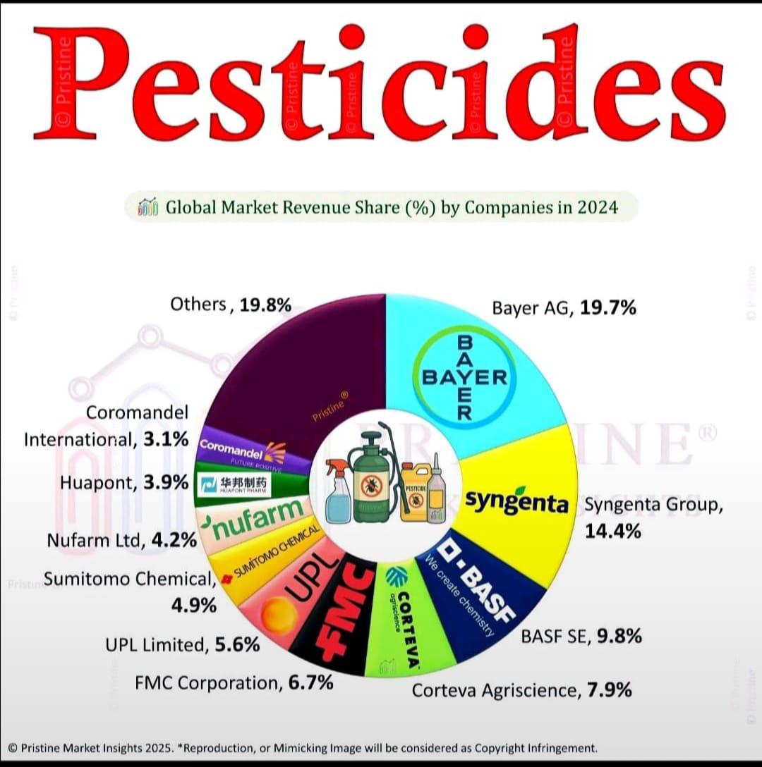 Global pesticides market revenue share by companies in 2024